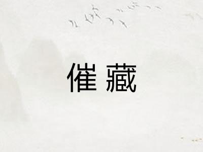 催藏