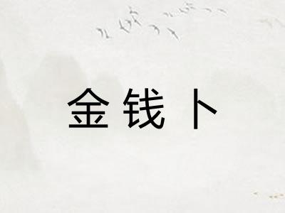 金钱卜