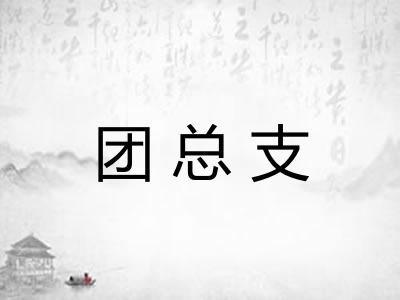 团总支