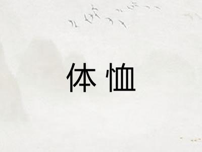 体恤