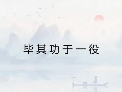 毕其功于一役