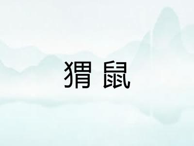 猬鼠