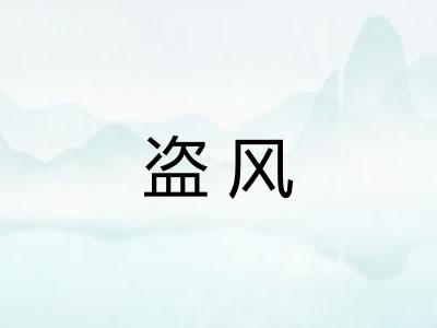 盗风