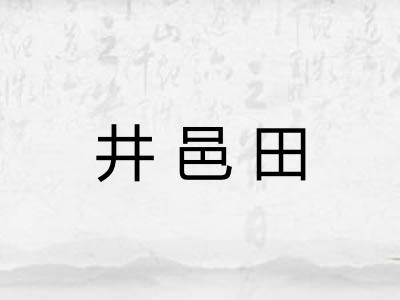井邑田