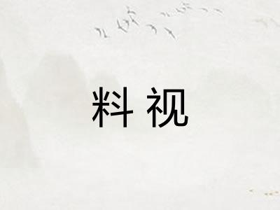 料视