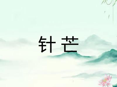 针芒