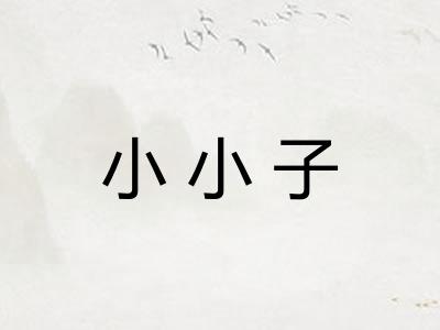 小小子