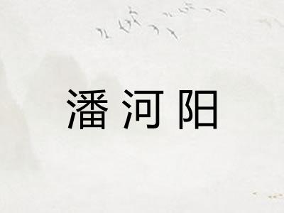 潘河阳
