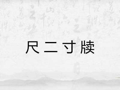 尺二寸牍