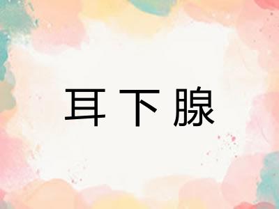 耳下腺