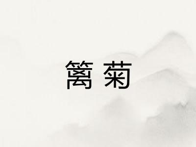 篱菊