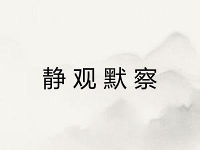 静观默察
