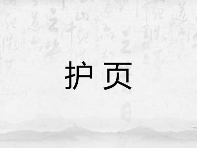 护页