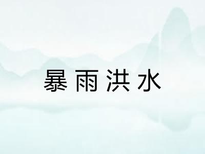 暴雨洪水
