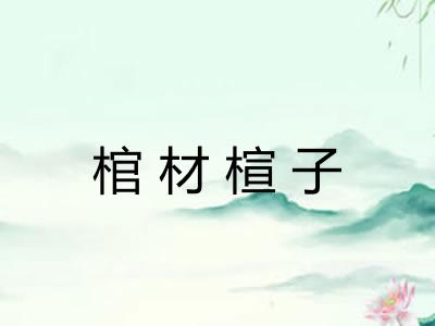 棺材楦子