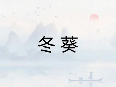 冬葵