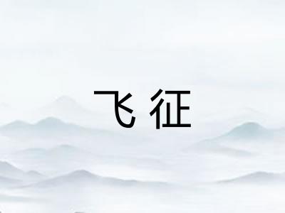 飞征