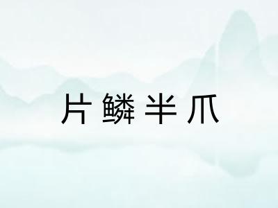 片鳞半爪