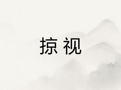 掠视