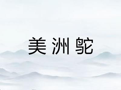 美洲鸵