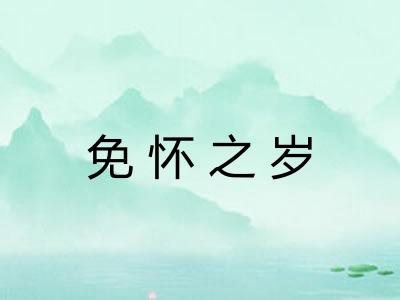 免怀之岁