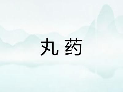 丸药
