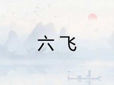 六飞