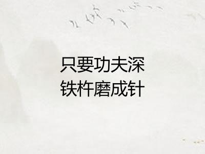 只要功夫深铁杵磨成针