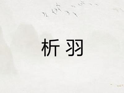 析羽