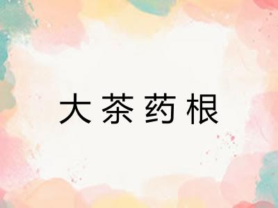 大茶药根