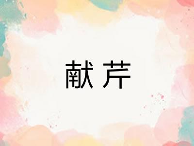 献芹