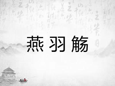 燕羽觞