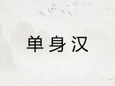 单身汉