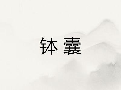 钵囊