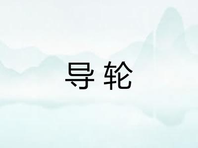 导轮
