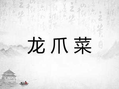 龙爪菜