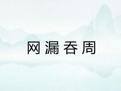 网漏吞周