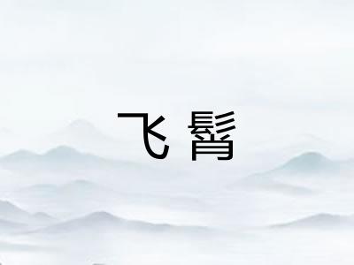 飞髾