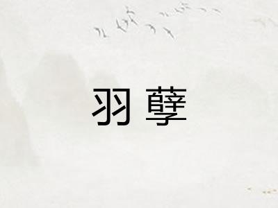 羽孽