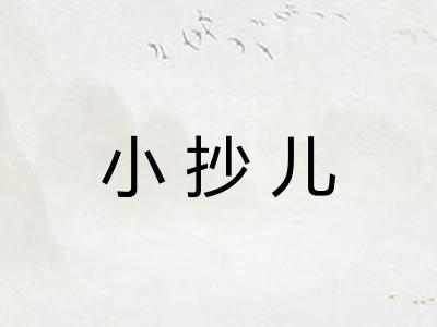 小抄儿