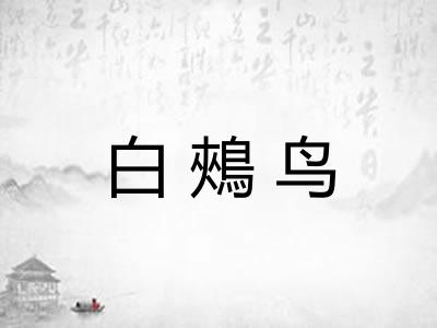 白鵊鸟