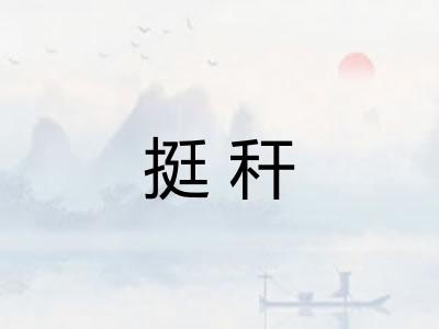 挺秆
