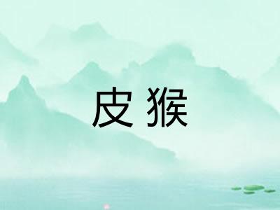 皮猴