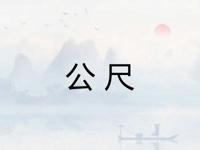 公尺