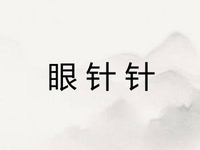 眼针针