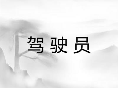 驾驶员