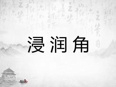 浸润角