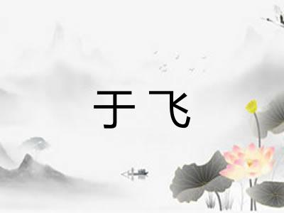于飞