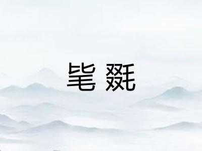毞毲