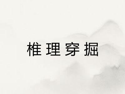 椎理穿掘